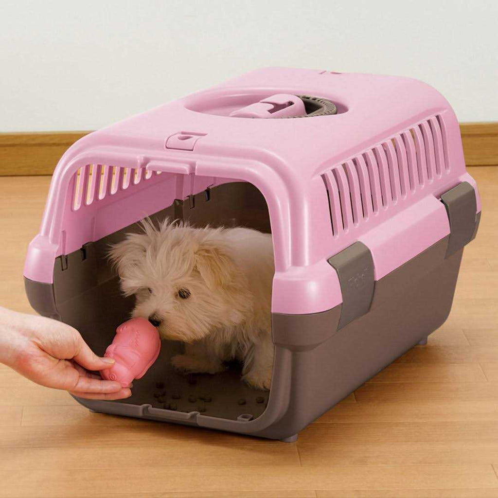 Pet Travel Carrier L216610