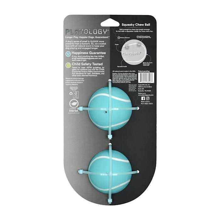 Squeaky Chew Ball Dog Toy R9803