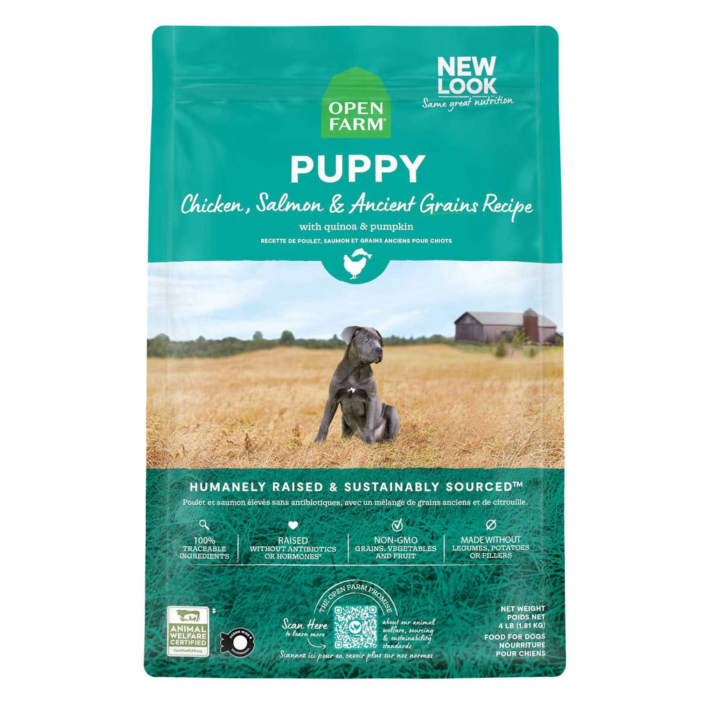 Pasture Raised Lamb Ancient Grains Dry Dog Food W89245