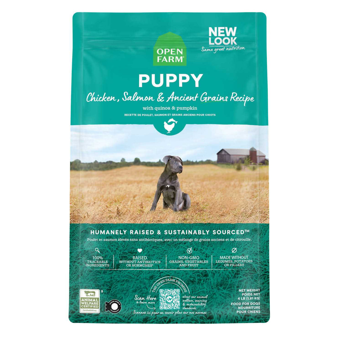Pasture Raised Lamb Ancient Grains Dry Dog Food W89245