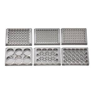 12 Well Tissue Culture Plate with Lid, Sterile H7278