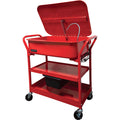 20 Gallon Portable Parts Washer F223