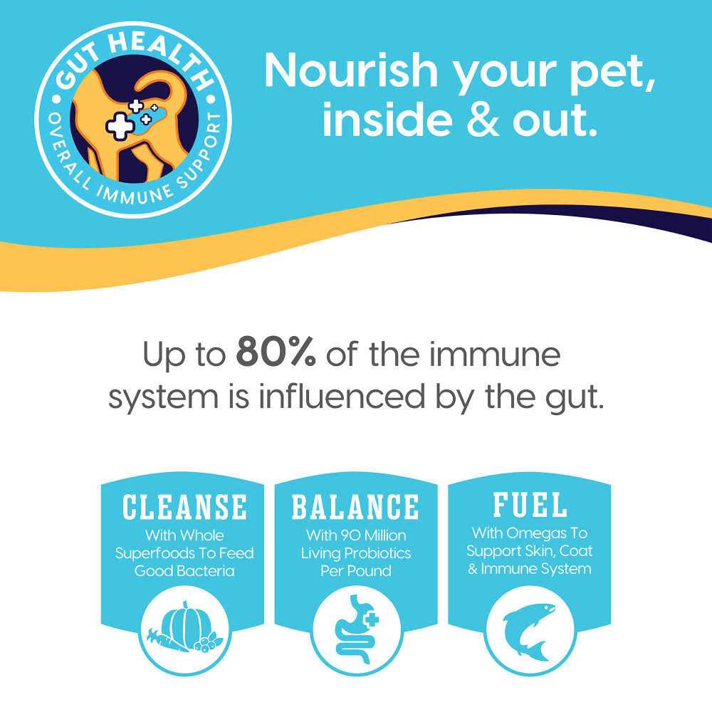 Grain-Free Dog Food W56731