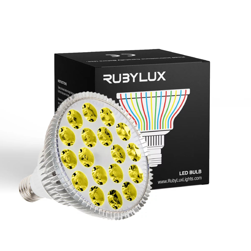 Yellow LED Bulb Large 120V M82256