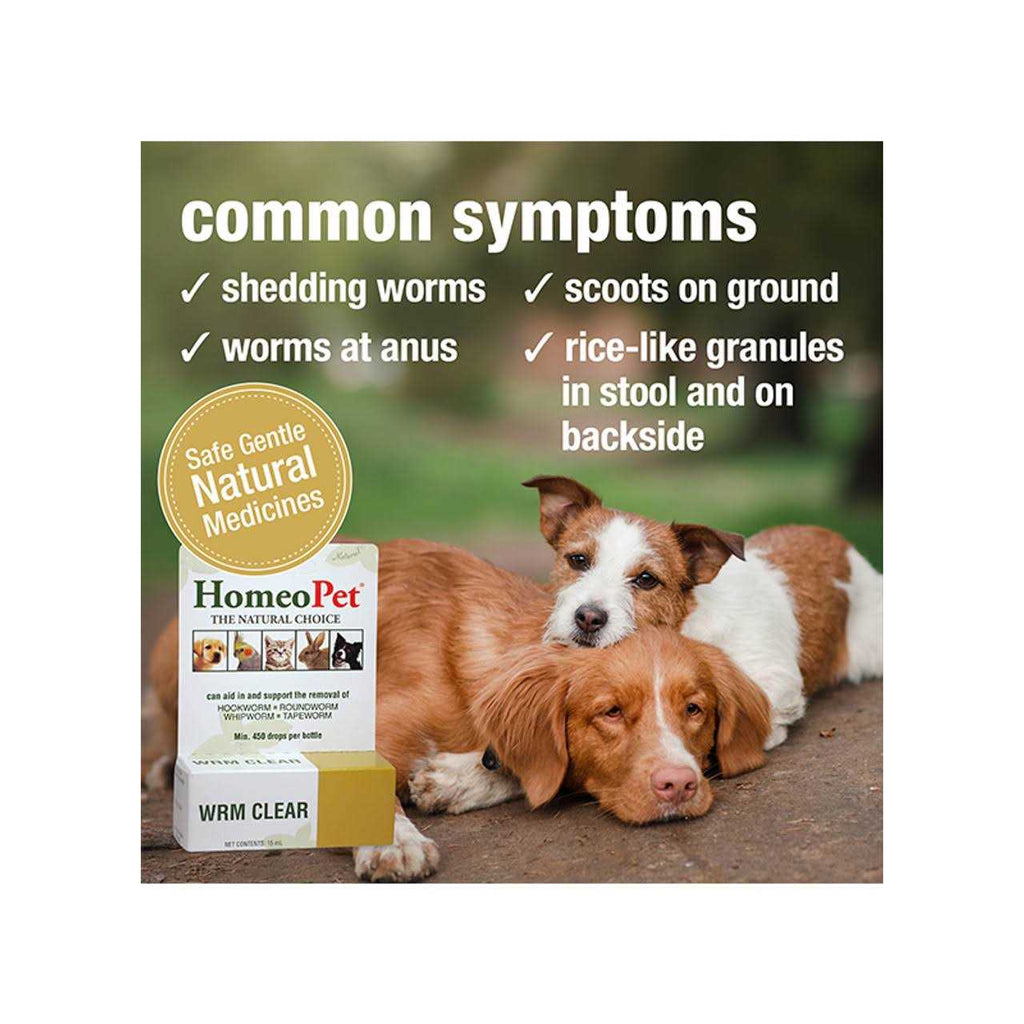 Pet Supplies Y6852