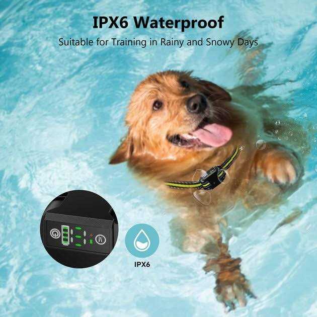 Waterproof Dog Bark Collar D408202