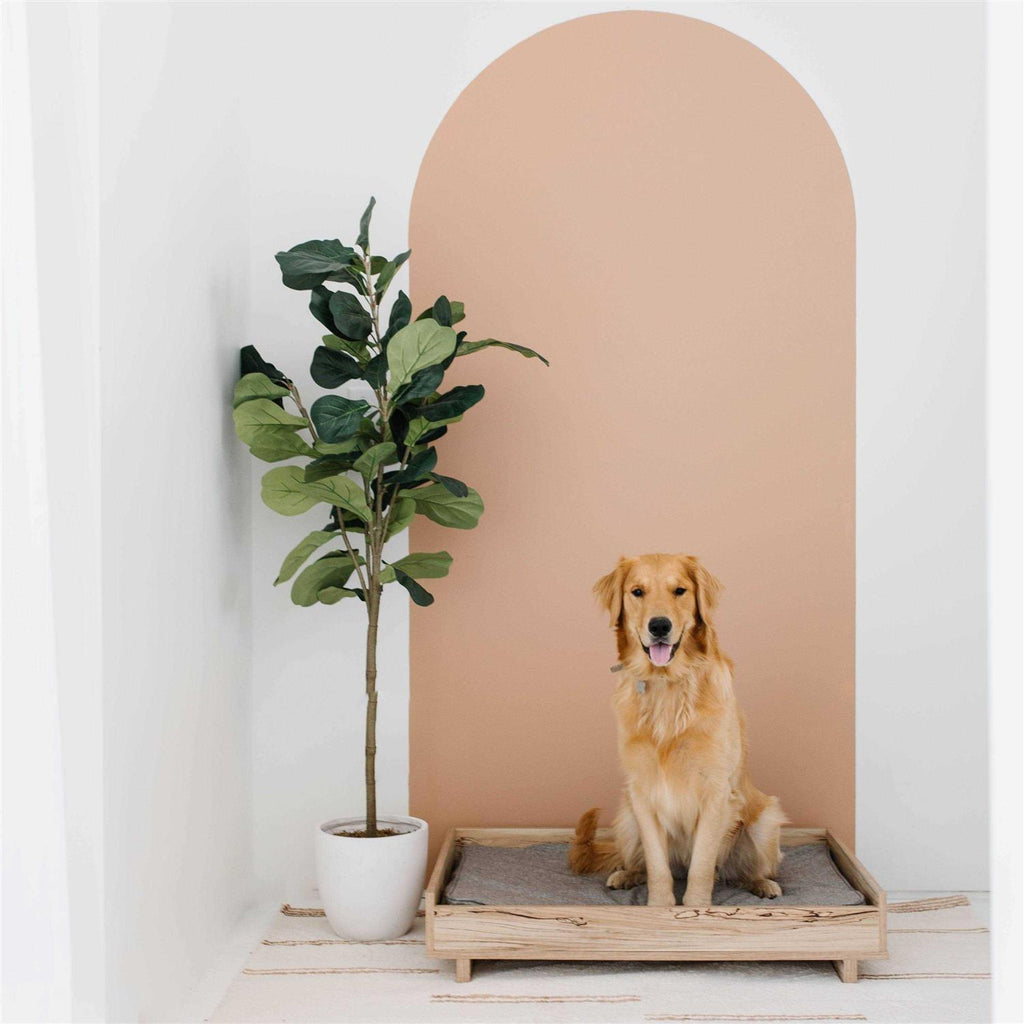 Pet Bed Frame W659