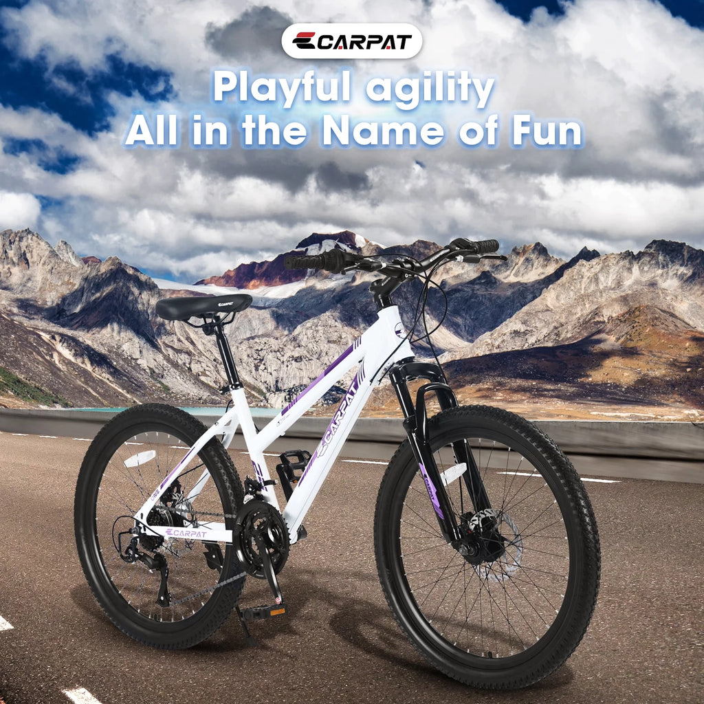 24 inch 21 Speeds Mountain Bike E66385