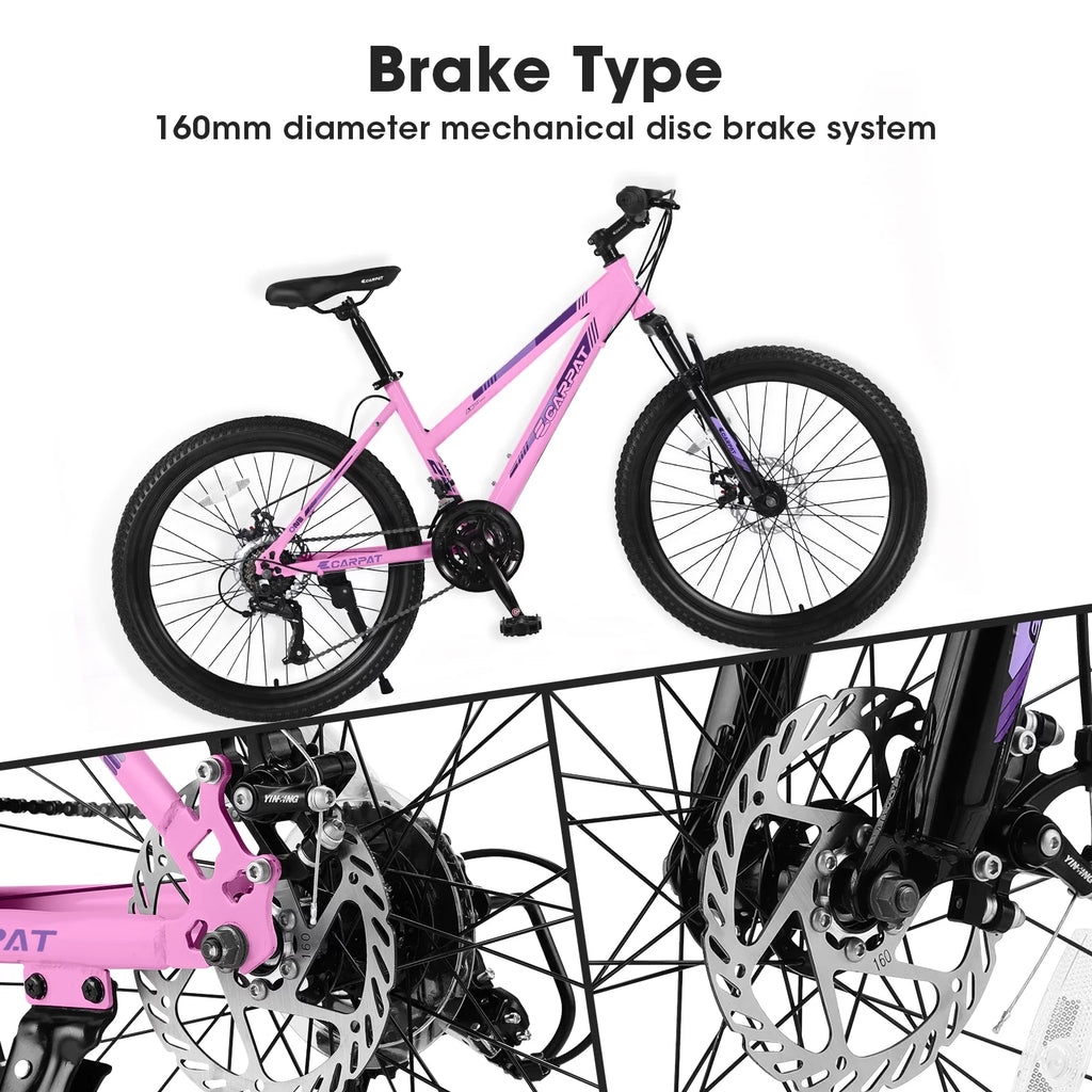 24 inch 21 Speeds Mountain Bike E66385
