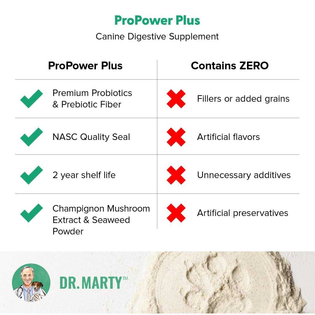 Digestive Supplement for Dogs N232