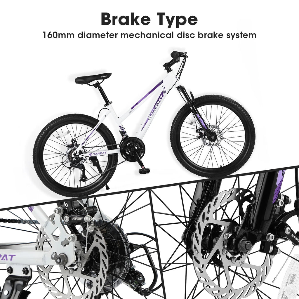 24 inch 21 Speeds Mountain Bike E66385