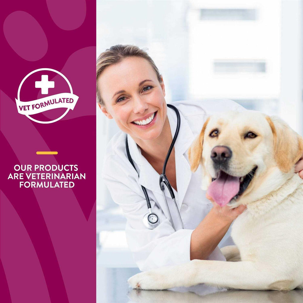 Joint Health Soft Chews for Dogs C8844