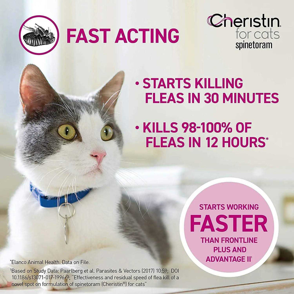 Flea Treatment for Cats B3323