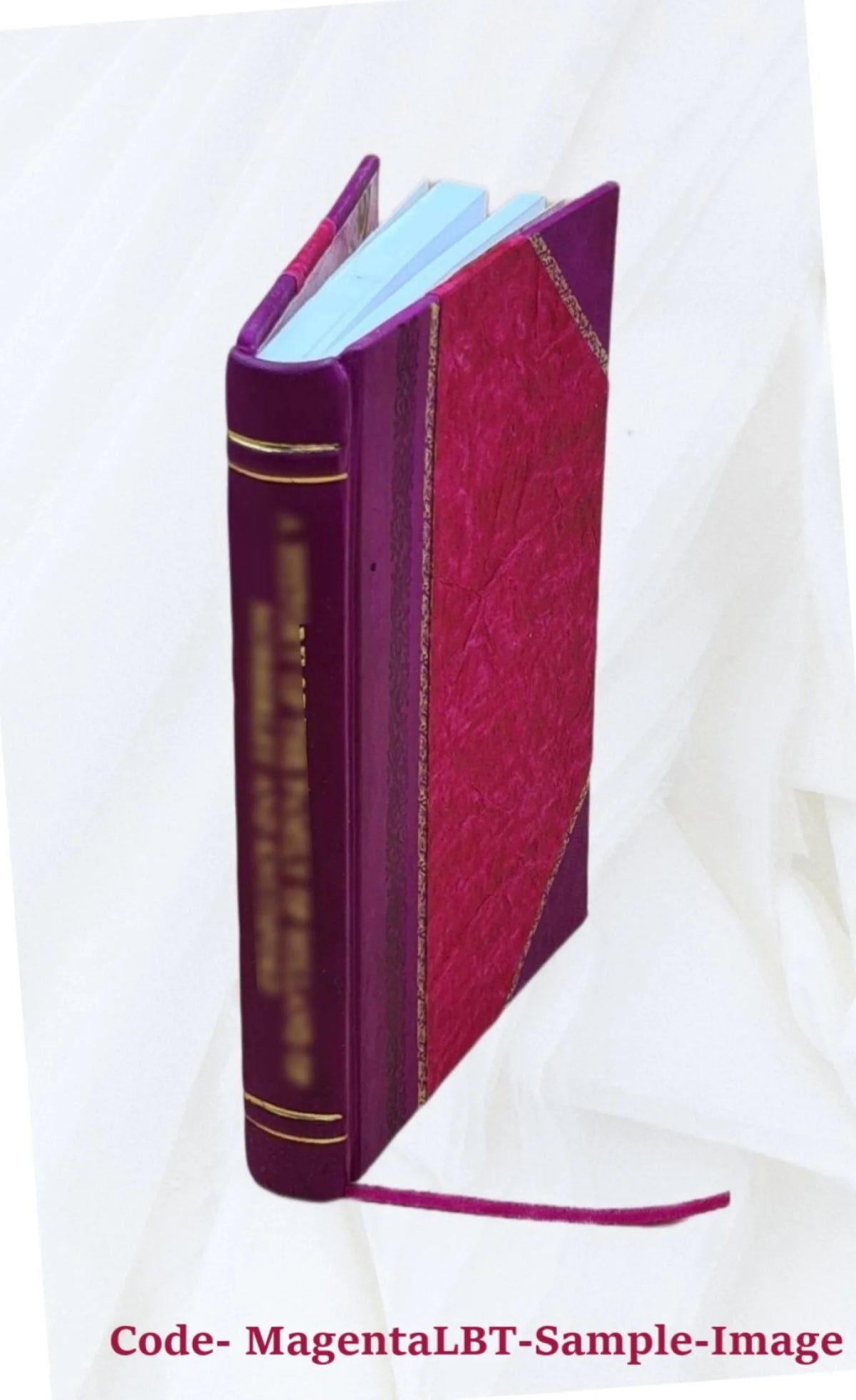 Notice des tableaux exposés dans la galerie du Musée 1815 Leather Bound Z8023