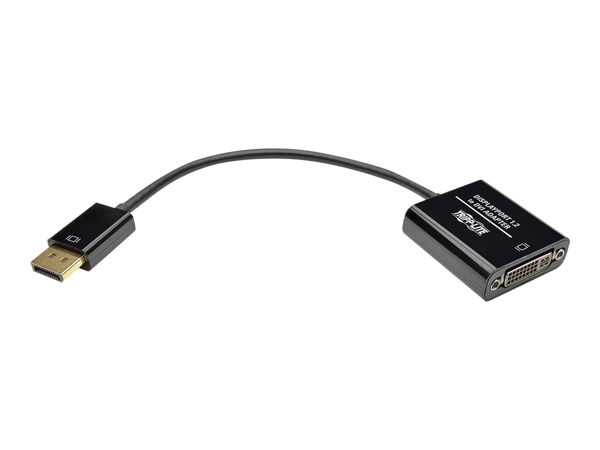 DisplayPort to DVI Adapter Converter 1080p 6in O98507
