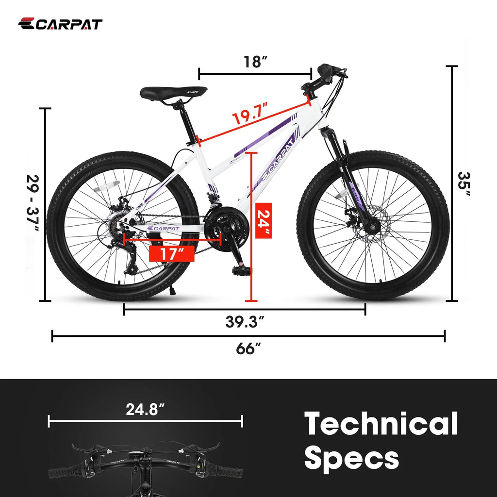 24 inch 21 Speeds Mountain Bike E66385