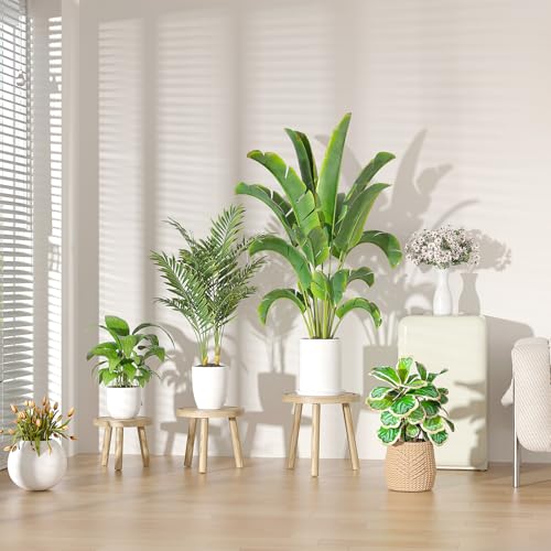 3-Pack Wood Plant Stands F337