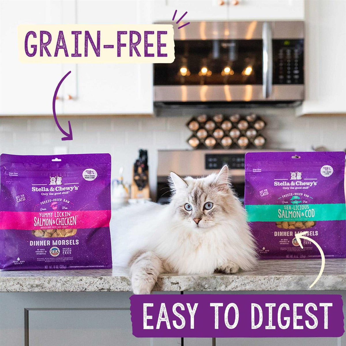 Freeze-Dried Cat Dinner Y8429