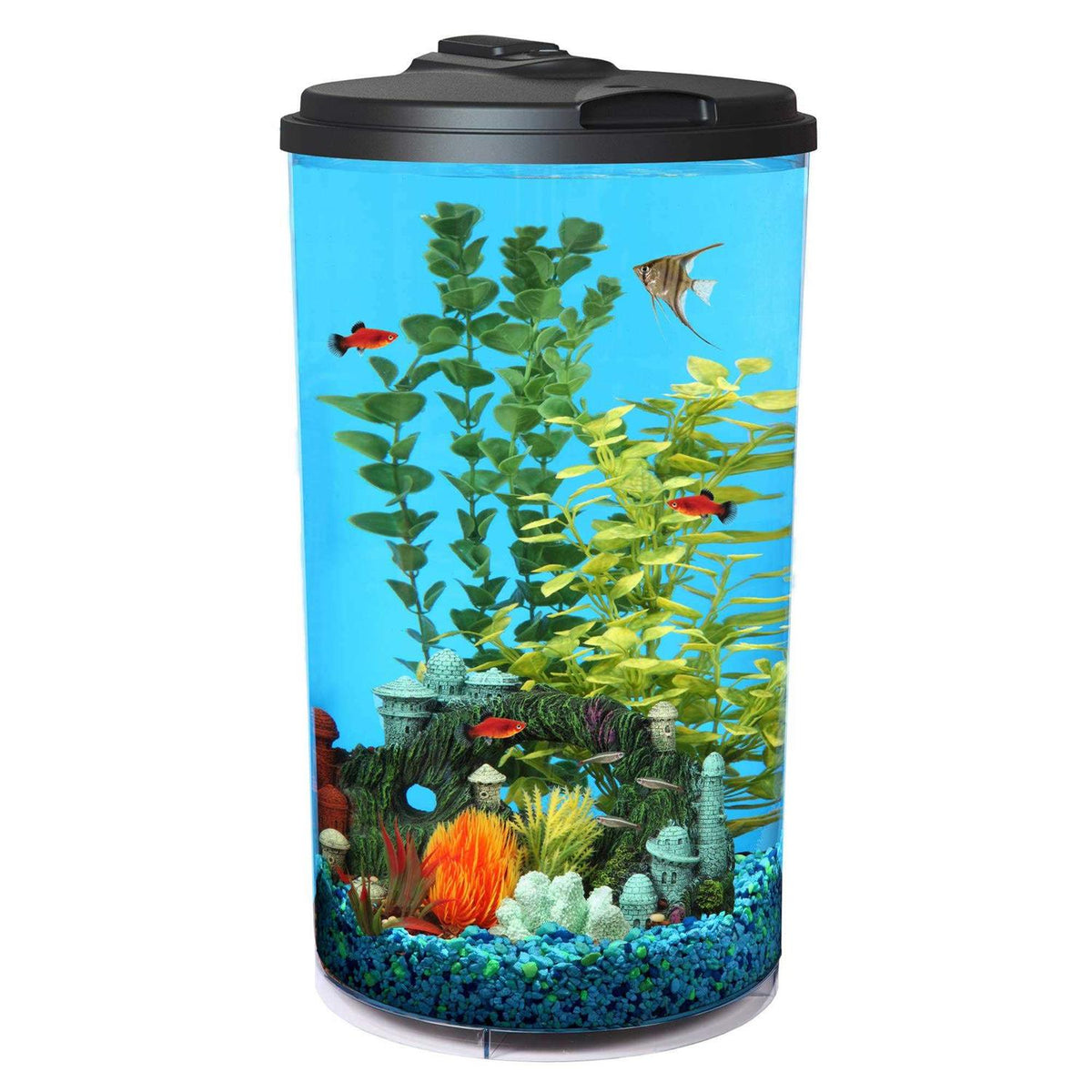 360 View Aquarium Starter Kit A592728