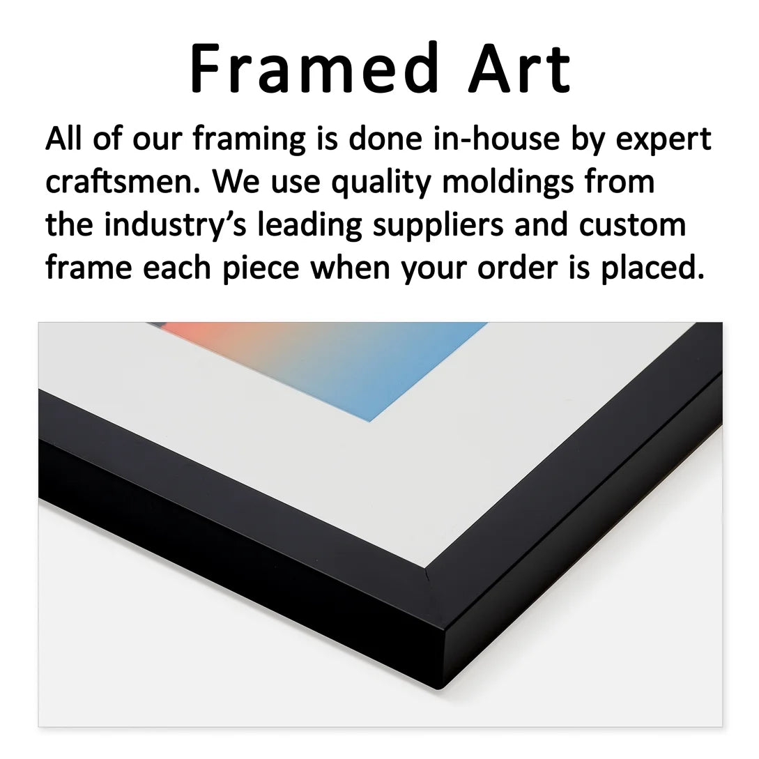 Framed Print Z20911