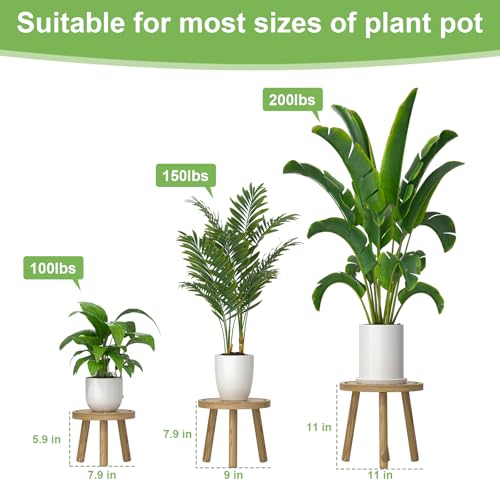 3-Pack Wood Plant Stands F337