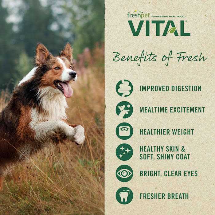 Grain-Free Chicken Pet Food Y453