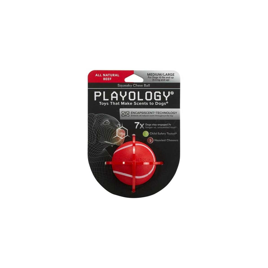 Squeaky Chew Ball Dog Toy R9803