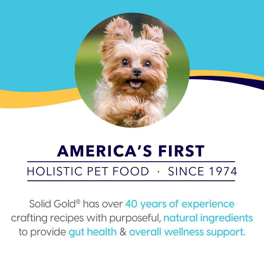 Grain-Free Dog Food W56731